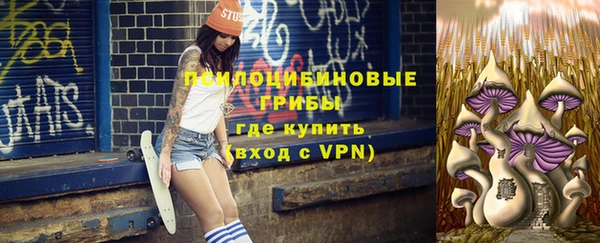 дмт Баксан