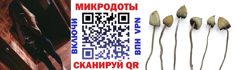 Галлюциногенные грибы Cubensis  MEGA ссылка  Берёзовский 